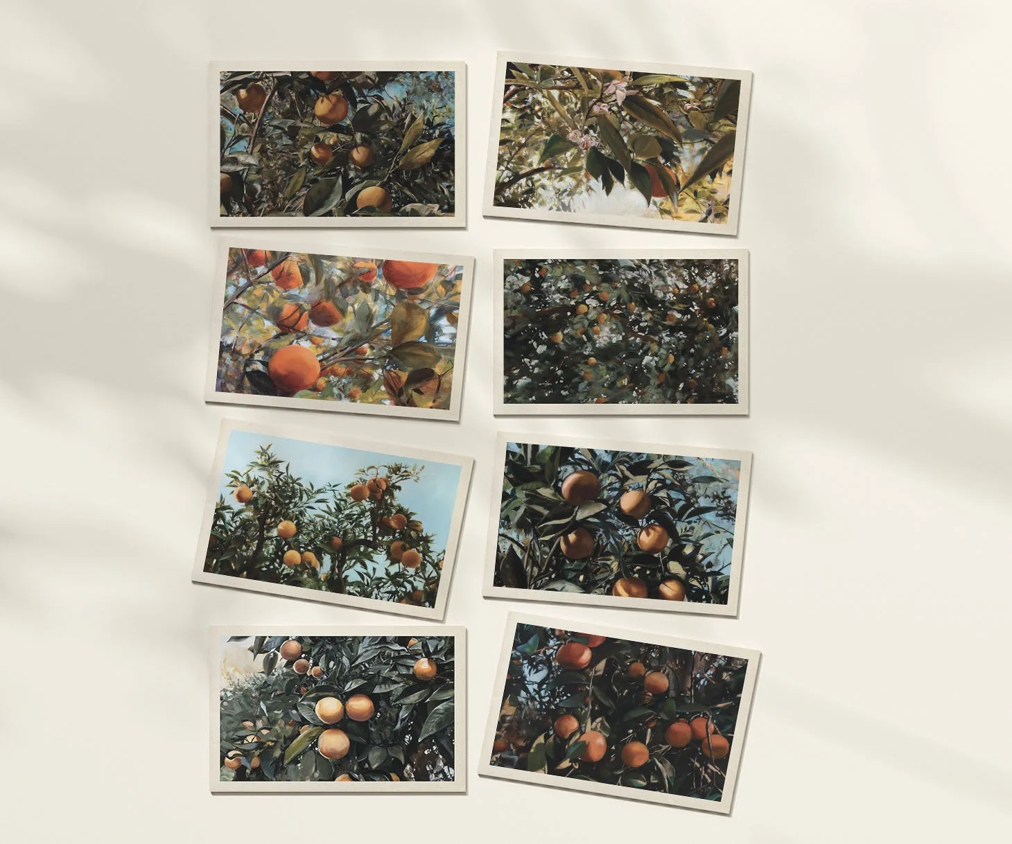 Citrus Grove Postcard Set — Rebecca Lemmon